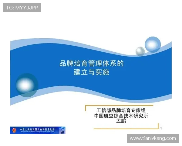 开云集团品牌管理的成功经验与面临的挑战分析